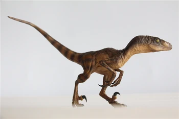 DINO SVAJONIŲ 1:15 Masto Velociraptor Raptor virtuvėje Pav Dromaeosauridae Dinozaurų Modelis Rinktuvas Gyvūnų Suaugusiųjų Žaislas Dovana