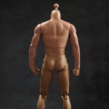 1/6 Vyrų kūno raumenų modelis su kaklo versija TQ230for 12 colių veiksmų skaičius, įstaiga, reikmenys