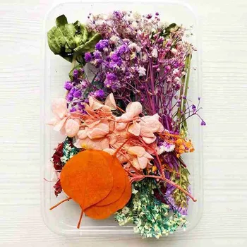 1 Dėžutė Natūralių Džiovintų Gėlių Sausų Augalų Nekilnojamojo Gėlės Aromaterapija Žvakės Epoksidinės Dervos Karoliai Papuošalai 