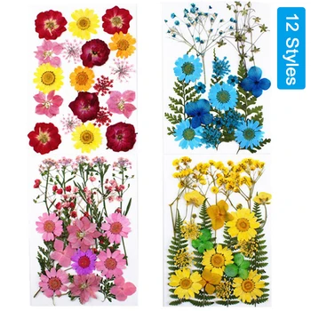 12 Stilių Naujų Gamtinių Paspaudus Dekoratyvinis Džiovinti Žiedlapiai Dirbtinės Gėlės 