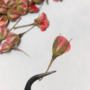 12pcs Džiovinti Spaudžiamas Šviesiai Rožinė Rožė Gėlių, Augalų Herbariumas Papuošalai Žymą Atvirukas Telefono dėklas Pakvietimo, 