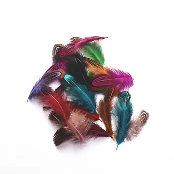 20-100pcs/Top daug Retų Multi-spalva plunksnelių Gamtos Fazano Plunksnų 4-8cm 