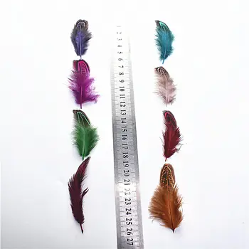 20-100pcs/Top daug Retų Multi-spalva plunksnelių Gamtos Fazano Plunksnų 4-8cm 