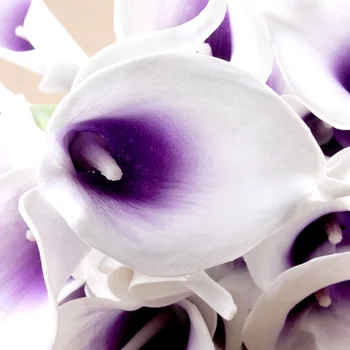 20pcs Dirbtinis Calla Lily Nuotakos Vestuvių Puokštė Gėlės Nekilnojamojo Touch Dekoratyvinis Puokštė (Violetinis ir Baltas)