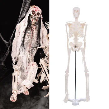 45CM PVC Žmogaus Skeleto Modelis Anatomijos Modelis Siaubo Helovinas Šalis Dekoro Skeletas Aukštos Kokybės