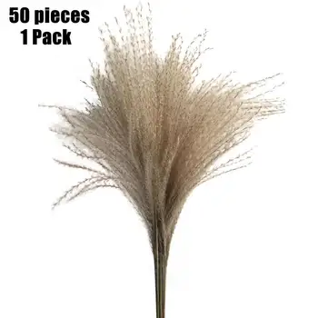 50 Vnt 1 Pak Natūralių Džiovintų Nendrių Gėlės 40cm Vestuves Namų Puošybai Pilkos Ir Baltos Dviejų Spalvų