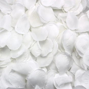 500 Rožių žiedlapiai išsimėtę balti apdailos Vestuves