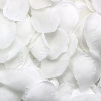 500 Rožių žiedlapiai išsimėtę balti apdailos Vestuves