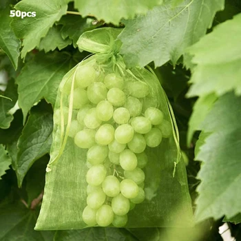 50pcs Vaisių, Augalų Medelynų Krepšiai Vynuogių Sodas Apsaugos Raišteliu Akių Maišą Namo Saldainiai Pearl Saugojimo Krepšys