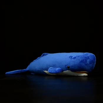 54cm Tikroviška kašaloto Modeliavimas Kimštiniai Žaislai, Minkšti Jūros Gyvūnų Cachalot Pliušinis Žaislas Puodą Banginis Didelės Lėlės Fin Vaikams Dovanų