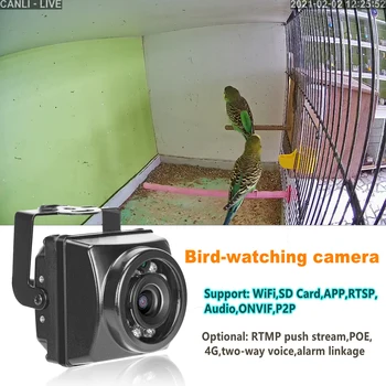 5MP 1920P 4K IP66 atsparus Vandeniui Naktinio Matymo Miniatiūriniai IR POE IP Camera Onvif Tinklo P2P TF Kortelės Lizdas Įrašymas Automobilių&Bird Nest