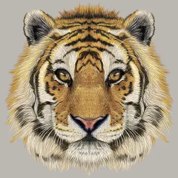 Juokinga Tigras Modelio Drabužių Emblemos Pleistrai Šilumos Perdavimo Mados 
