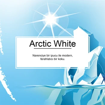 Mažai Medžių Arctic White Ferahlığı Aromalı Oto Kokusu 12 Adet