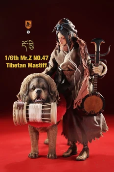Mr. Z MRZ047 1/6 Imituojant gyvūnų modelio 47 kulkos Tibeto Mastifas gali būti naudojamas su 12 colių lėlių Kolekcionieriams Dekoracija Dovanos