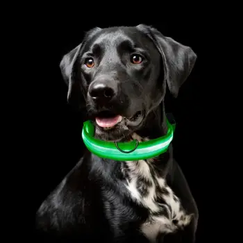 Nailono LED šunelis Reguliuojamas Antkaklis Naktį Saugos Mirksi šviečia Tamsoje Šuns Pavadėlio Šunys Šviesos Liuminescencinės Antkakliai 8 Spalvos