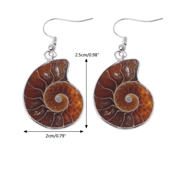 Natūralus Sraigių Ammonite Spiralės Whorl Myli Lukšto Fosilijos Pakabukas Tabaluoti Auskarai J60E