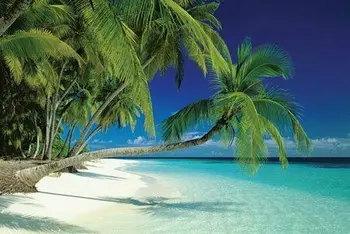 Naujas Maldyvai Paplūdimys ir Jūra ir Palmės Atogrąžų Saloje Rojus Menas spausdinti Šilko plakatas Namų Sienų Dekoras