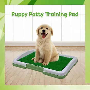 Nešiojamas Šunų Mokymo Tualetas Pamišęs 3 Sluoksnių Didelių Šunų Pet Training Potty Bedpan Tualetą Trinkelėmis, Šunų Reikmenys Mažų Šunų, Kačių, Naminių Produktų