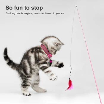 Įdomus Ištraukiama Plunksnų Katė Lazdele Katė Interaktyvus Žaislas Pakeitimo Funny Cat Stick 5vnt Naminių Reikmenys Prieinamas Kelių Spalvų