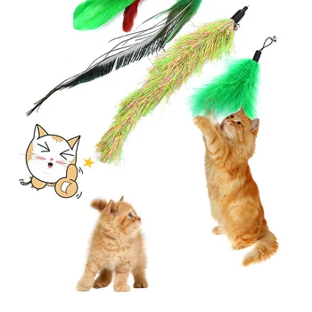 Įdomus Ištraukiama Plunksnų Katė Lazdele Katė Interaktyvus Žaislas Pakeitimo Funny Cat Stick 5vnt Naminių Reikmenys Prieinamas Kelių Spalvų