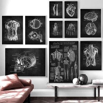 Šiuolaikinio Žmogaus Anatomija Kūrinys Medicinos Sienos paveiksl Raumenų Skeletas Švietimo Plakatas Diamond Tapyba 