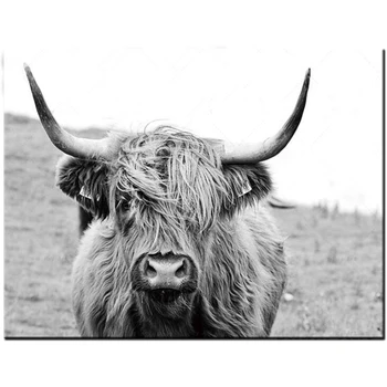 Škotijos Karvės Škotijos kraštovaizdį, diamond paveikslų visiškai gręžimo 5d 